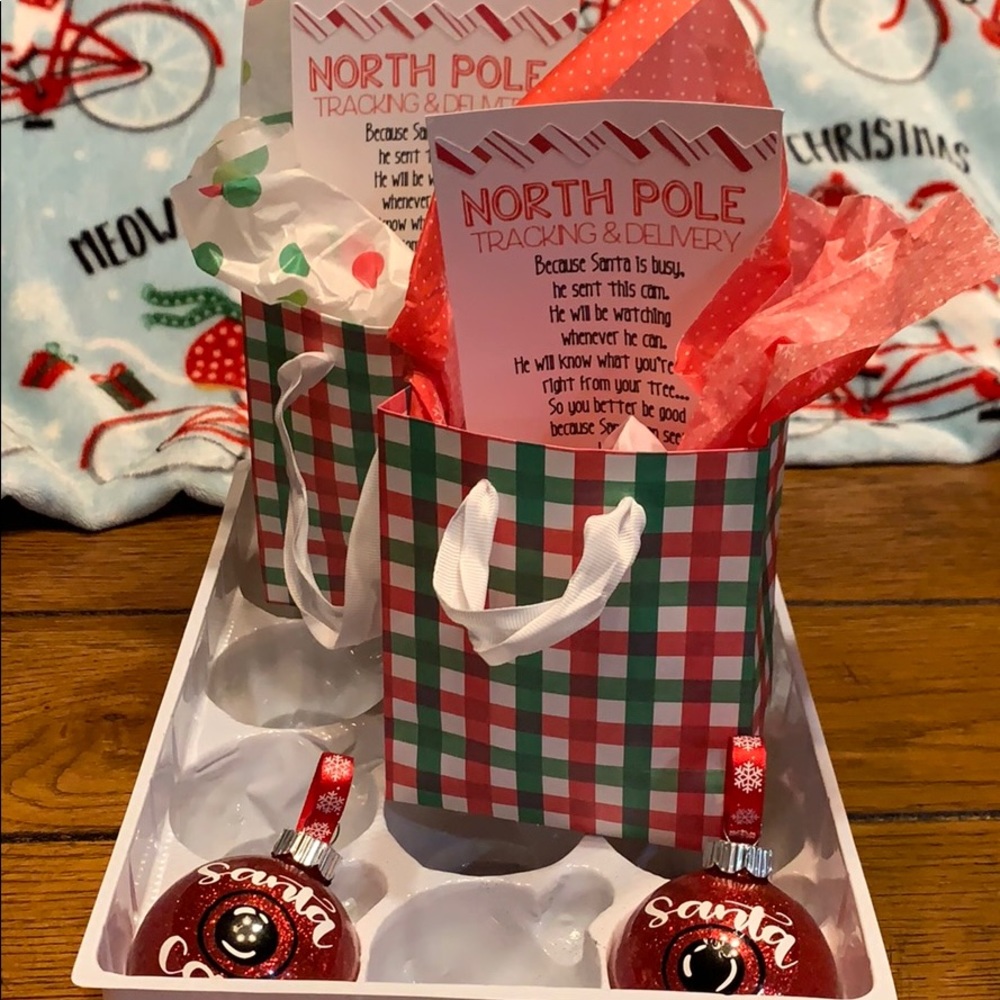 Santa Cam Christmas Ornaments